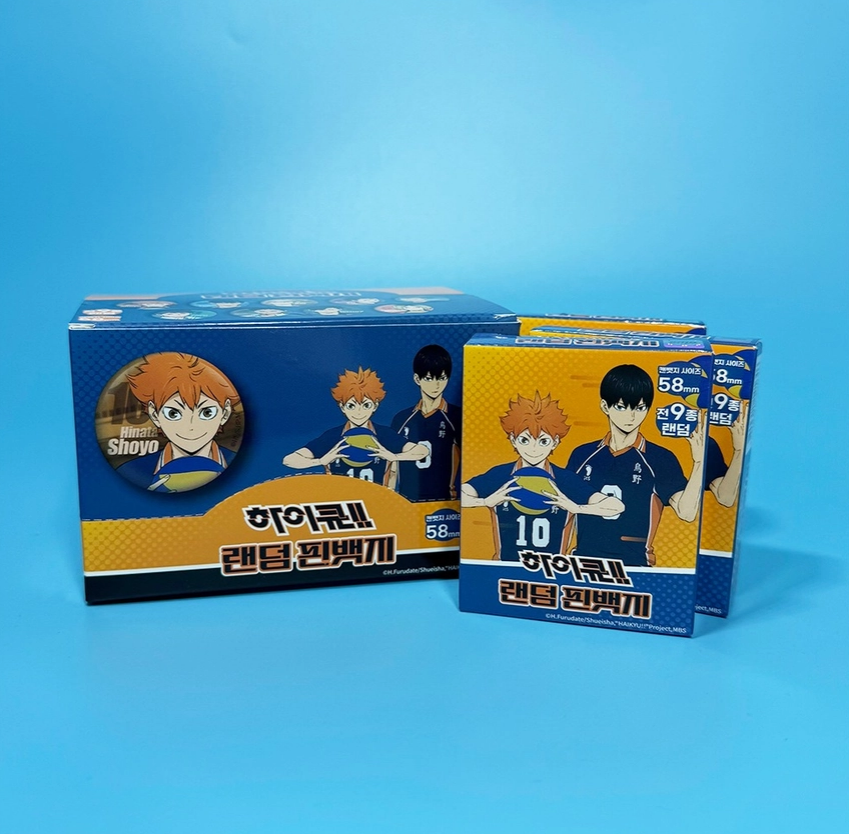 Haikyuu Pin Blind Box
